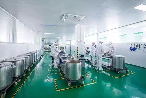 一座現(xiàn)代化 中央廚房 拔地而起...